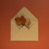 Mailing image