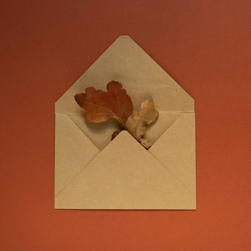 Mailing image